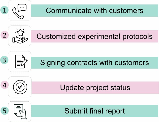 Our services workflow