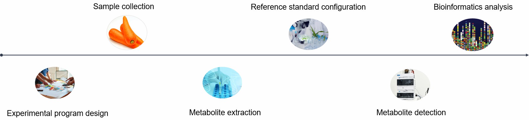 Fig. 2. Our technology route - Lifeasible