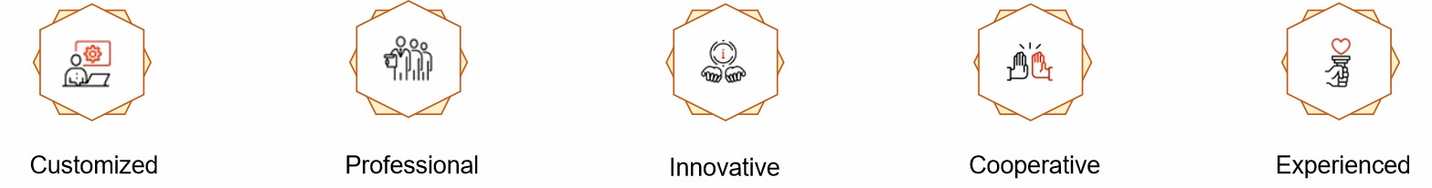 Fig. 2. Our service advantages - Lifeasible
