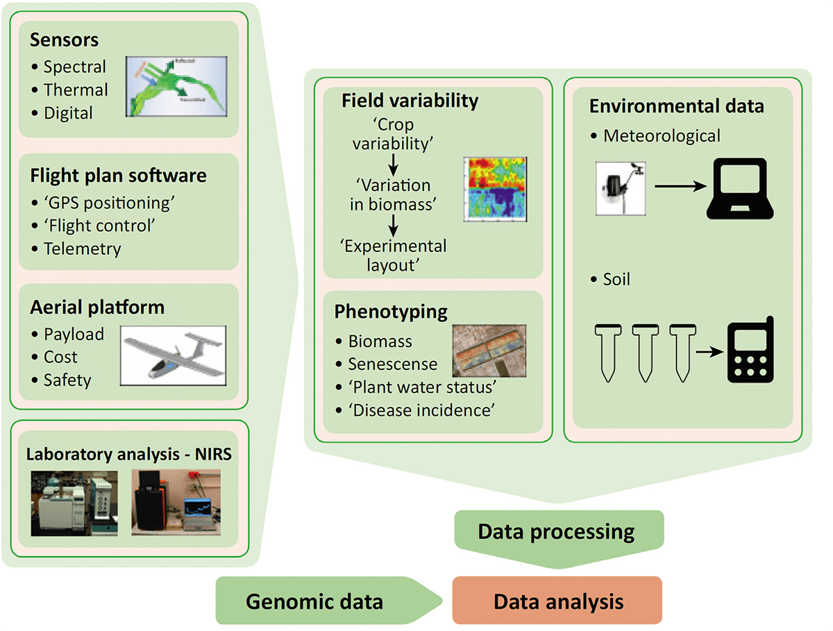 High-Throughput Phenotyping