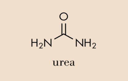Determination of other organic compounds – urea.