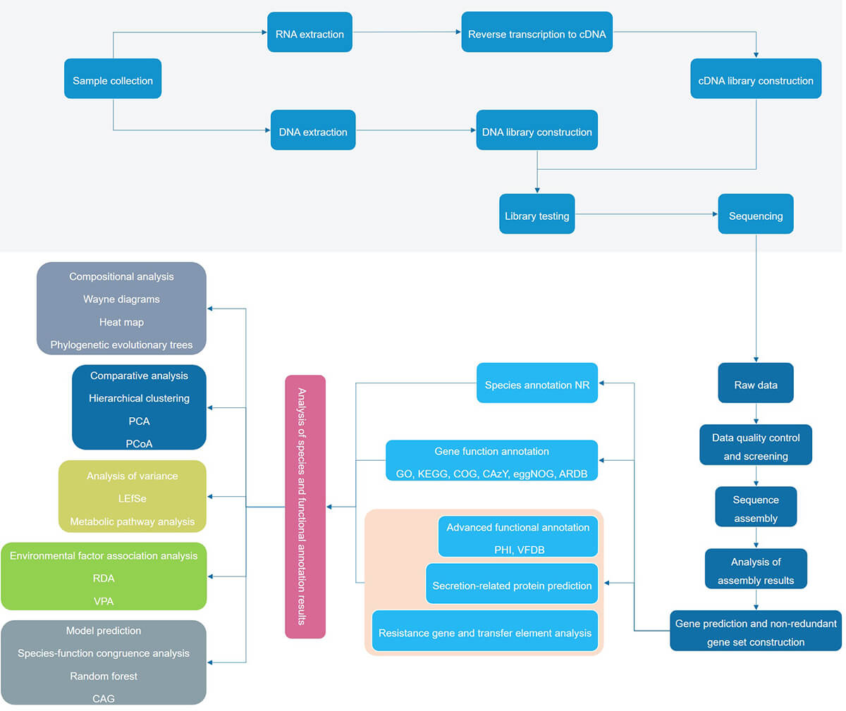 Metagenomics analysis process.