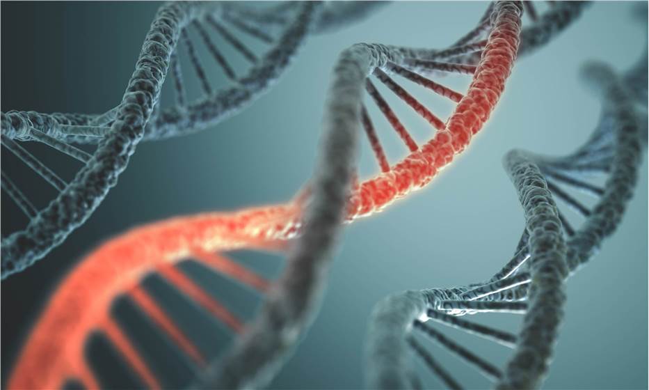 Plant transcriptome bioinformatics analysis.