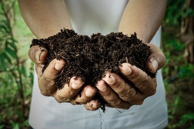 Soil Bioindicator Analysis 5