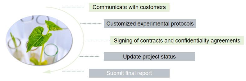 Our services workflow