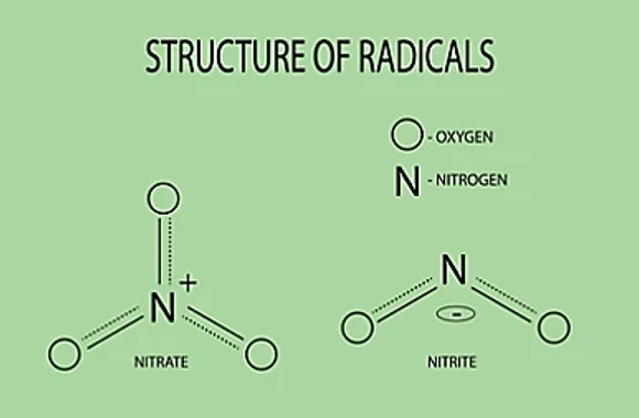 Structure of radicals of nitrate and nitrite.
