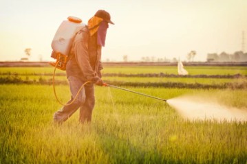 Detection of Harmful Substances in Forage