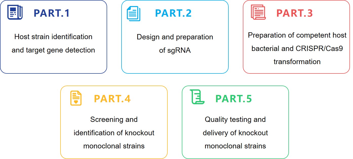 Functional Analysis of Phytopathogenic Genes of Plant Pathogenic Bacteria