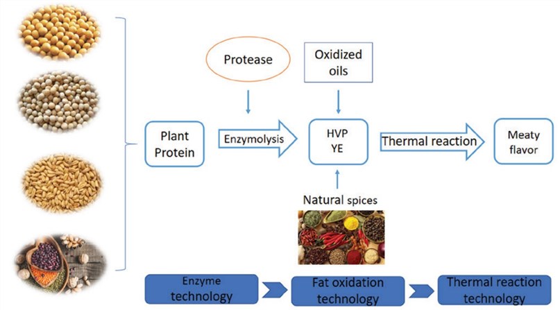 The process for developing flavors in plant-based meat analogues.