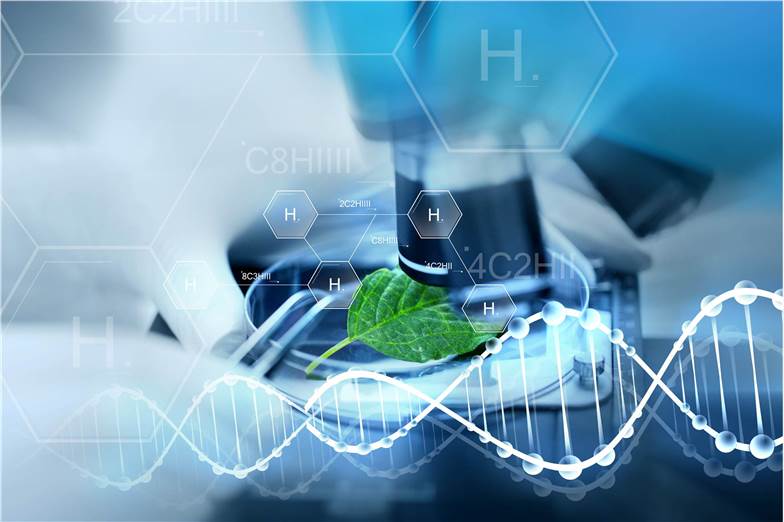 Joint analysis of plant transcriptomics and metabolomics.