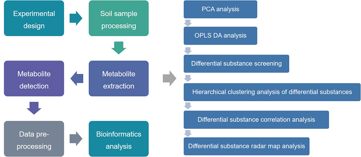 Metabolomics Analysis of Microorganisms in Soil