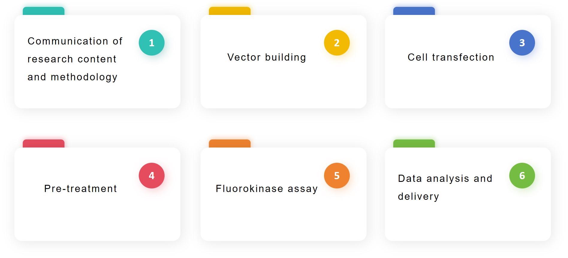 Report gene vector building service flow - Lifeasible