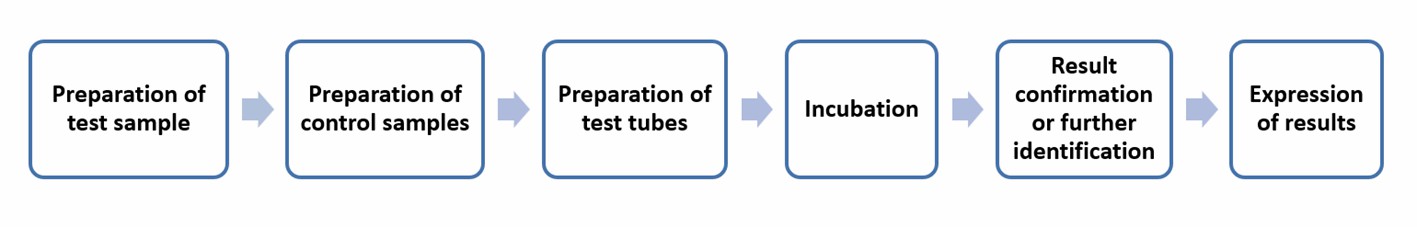 Operation flow of tube diffusion tests for determining several antibiotics- Lifeasible.