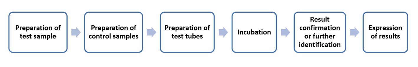 Operation flow of tube diffusion tests for determining several antibiotics- Lifeasible.