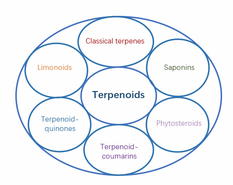 Types of various terpenoids.