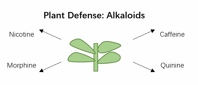Types of various alkaloids with nematocidal effects.