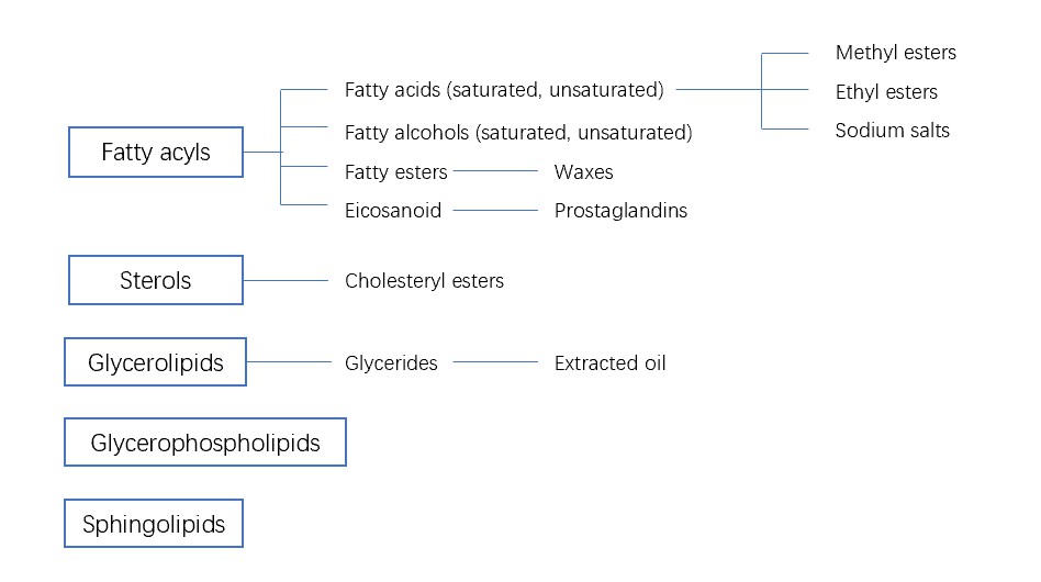 Types of various fatty acids and their derivatives.