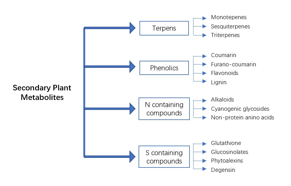 Types of secondary metabolites.