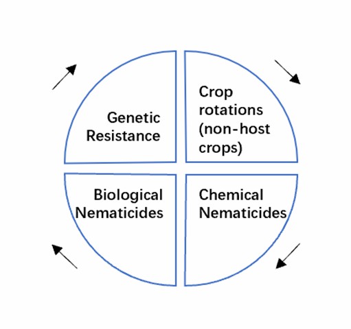 Integrated management tools of nematodes.