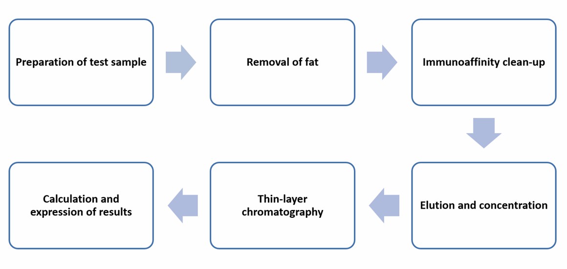 Operation flow of phenol release method to determine aflatoxin M1- Lifeasible.