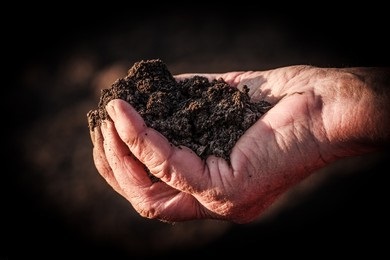 Soil Repair Services