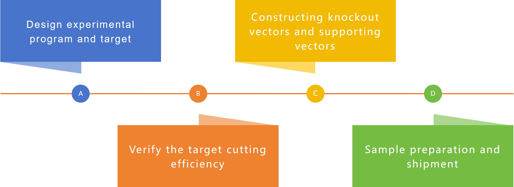 CRISPR/Cas9 vector building service flow - Lifeasible