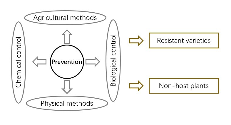 Selection of methods for controlling nematode disease.