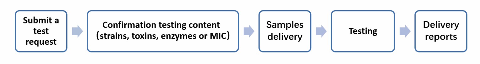 Service flow for microbiology-related tests- Lifeasible.