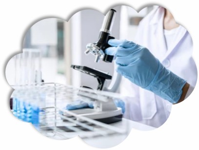 Detection of Micronucleus in Plant Cells