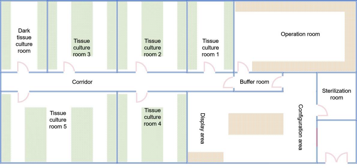 The layout of the transformation and tissue culture laboratory - Lifeasible