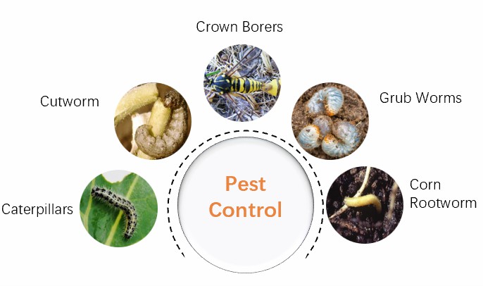 Pest control by beneficial nematodes.