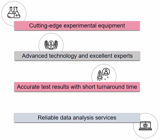 Our services workflow