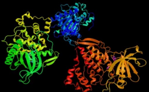 Regulatory Mechanism Analysis of Plant Telomeres