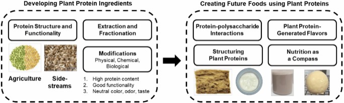 A roadmap to accelerate plant protein science and technology, focusing on plant protein ingredient development and future food creation.