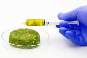 Plant-Derived Proteins Preparation and Purification