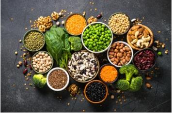 Plant Proteins Analysis