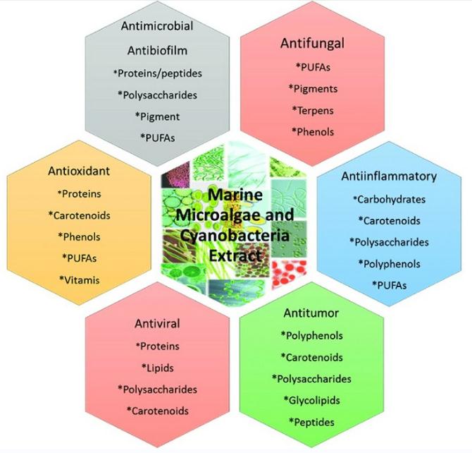 Properties of the biologically active compounds from marine microalgae and cyanobacteria.
