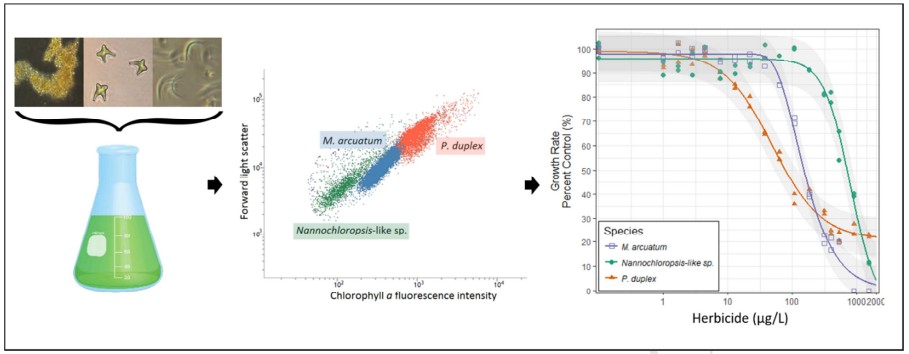 Development and application of a multispecies toxicity test with tropical freshwater microalgae.