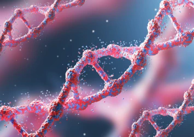 Identification of Bt Pesticide Protein Genotypes