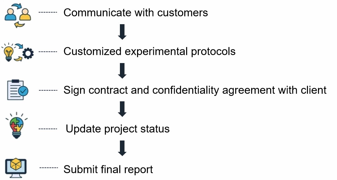 Our service workflow - Lifeasible