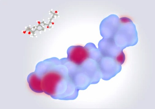 Development of Insecticidal Hormones