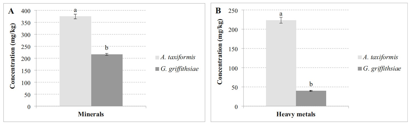 Total content of minerals (a) and heavy metals (b) in G. griffithsiae and A. taxiformis seaweeds.