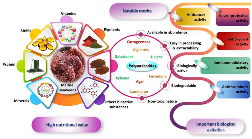 Components of secondary metabolites of marine algae and their possible application.