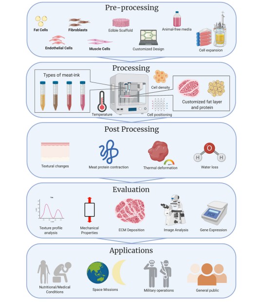 chematic diagram of major steps considered for 3D printed cultured meat products, their evaluation, and potential applications.