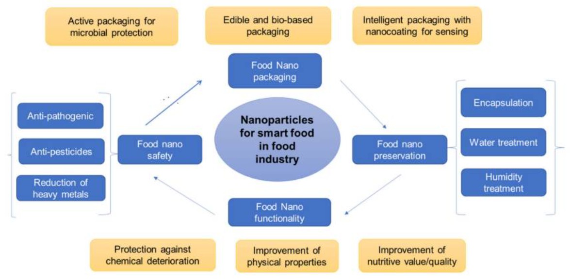 Summary of some applications of nanoparticles for developing smart food in the food industry.