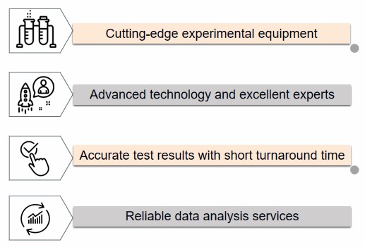 Advantages of our services