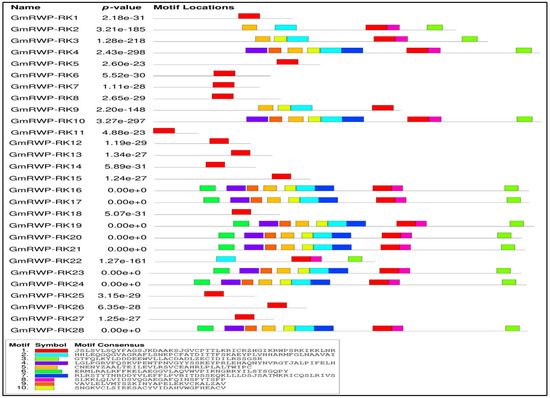 The distribution and organization of the conserved signature motifs of RWP-RK proteins in soybean.
