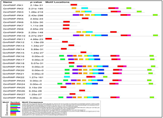 The distribution and organization of the conserved signature motifs of RWP-RK proteins in soybean.