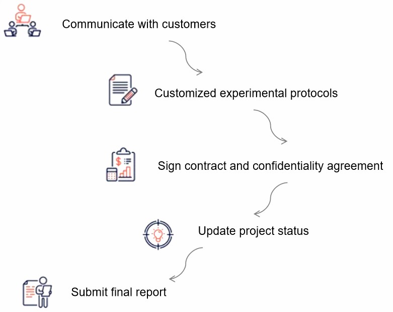 Our services workflow