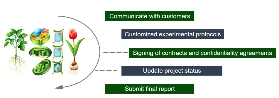 Our services workflow